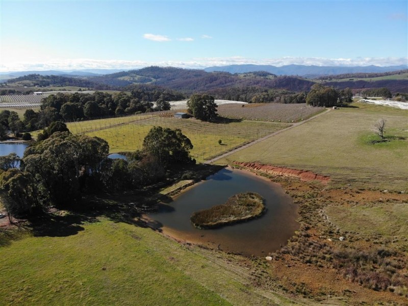 106 Old Tumbarumba Road, Batlow NSW 2730