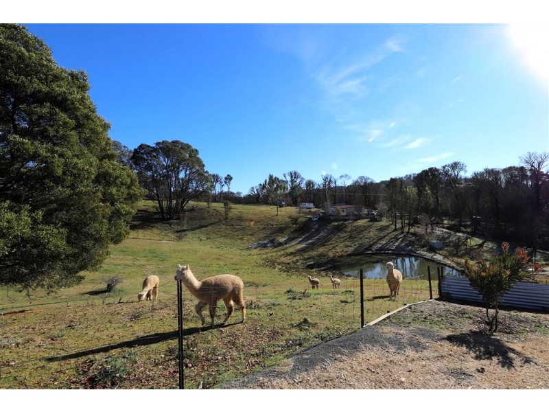 10 Royden Close, Batlow NSW 2730