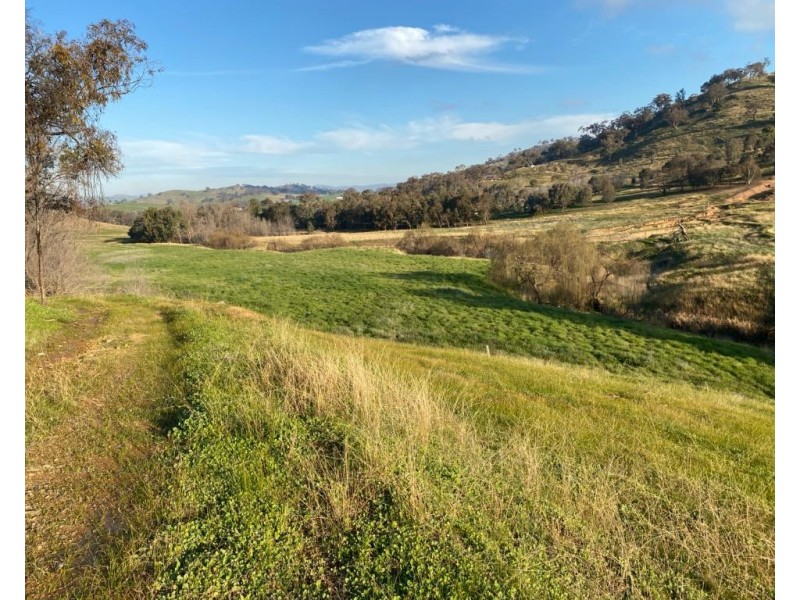 Willowie 5 Mile Creek Road, Gundagai NSW 2722