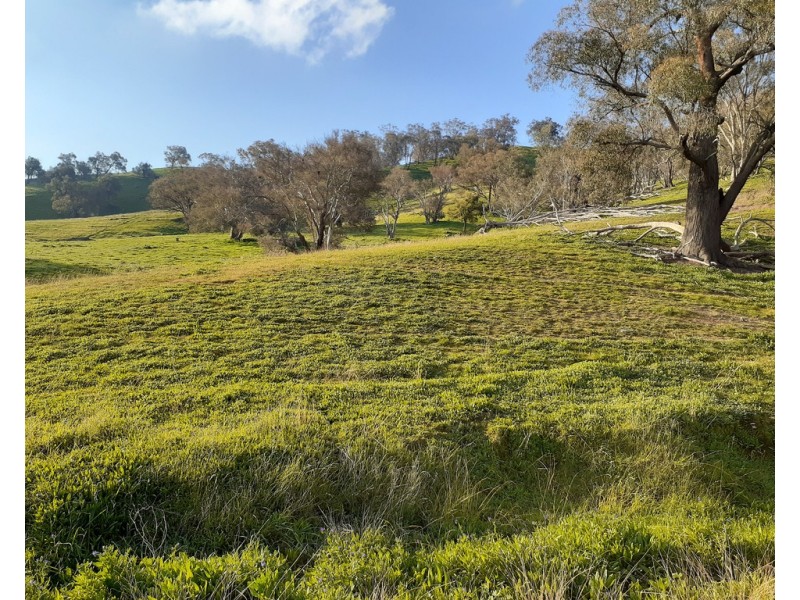 Willowie 5 Mile Creek Road, Gundagai NSW 2722
