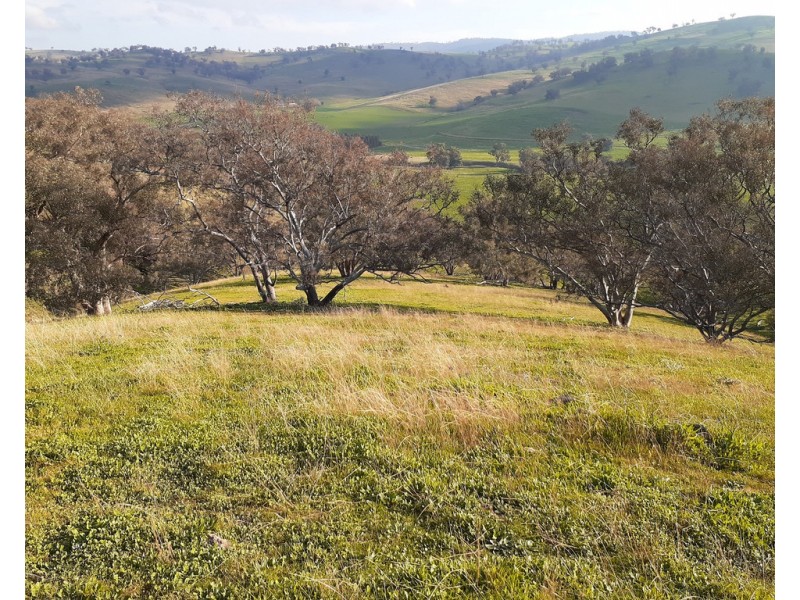 Willowie 5 Mile Creek Road, Gundagai NSW 2722