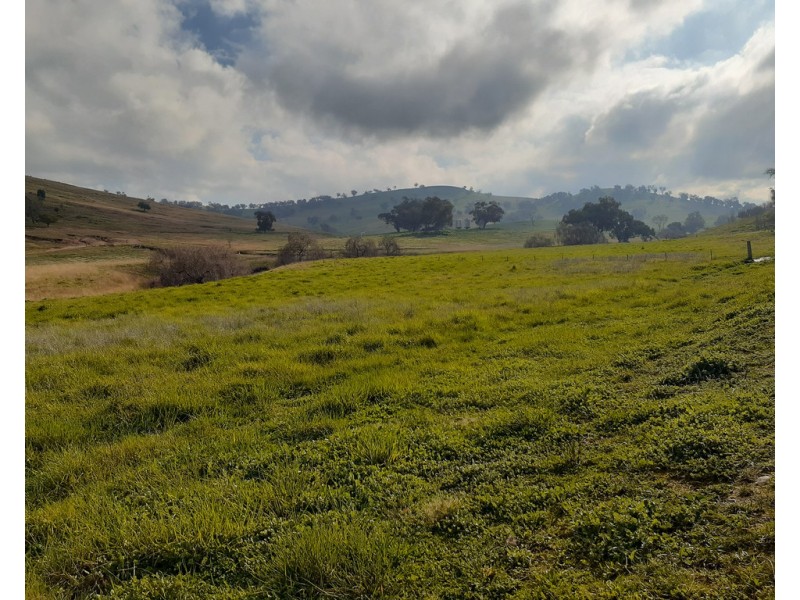 Willowie 5 Mile Creek Road, Gundagai NSW 2722
