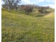 Willowie 5 Mile Creek Road, Gundagai NSW 2722