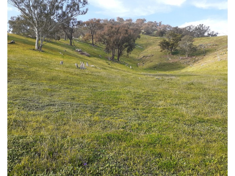 Willowie 5 Mile Creek Road, Gundagai NSW 2722