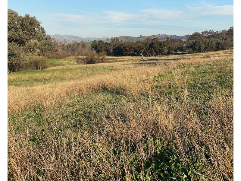 Willowie 5 Mile Creek Road, Gundagai NSW 2722