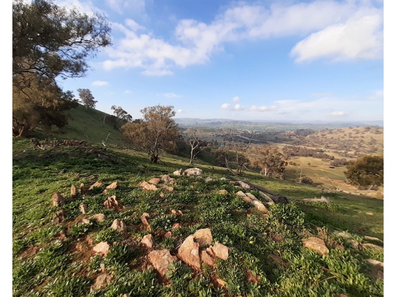 Willowie 5 Mile Creek Road, Gundagai NSW 2722