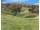 Willowie 5 Mile Creek Road, Gundagai NSW 2722