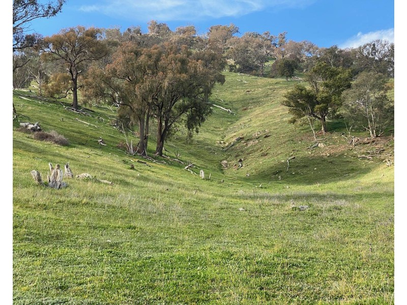 Willowie 5 Mile Creek Road, Gundagai NSW 2722