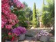 95 West Street, Gundagai NSW 2722