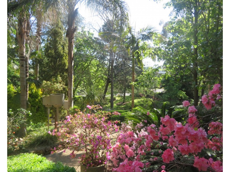95 West Street, Gundagai NSW 2722