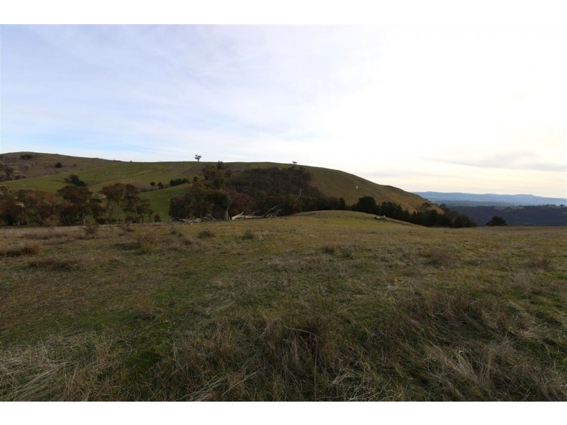 837 Argalong Road, Argalong NSW 2720