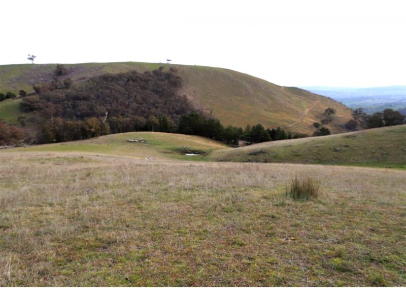 837 Argalong Road, Argalong NSW 2720