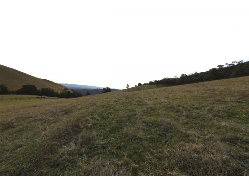 837 Argalong Road, Argalong NSW 2720