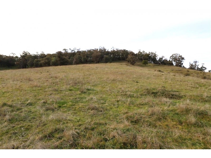 837 Argalong Road, Argalong NSW 2720