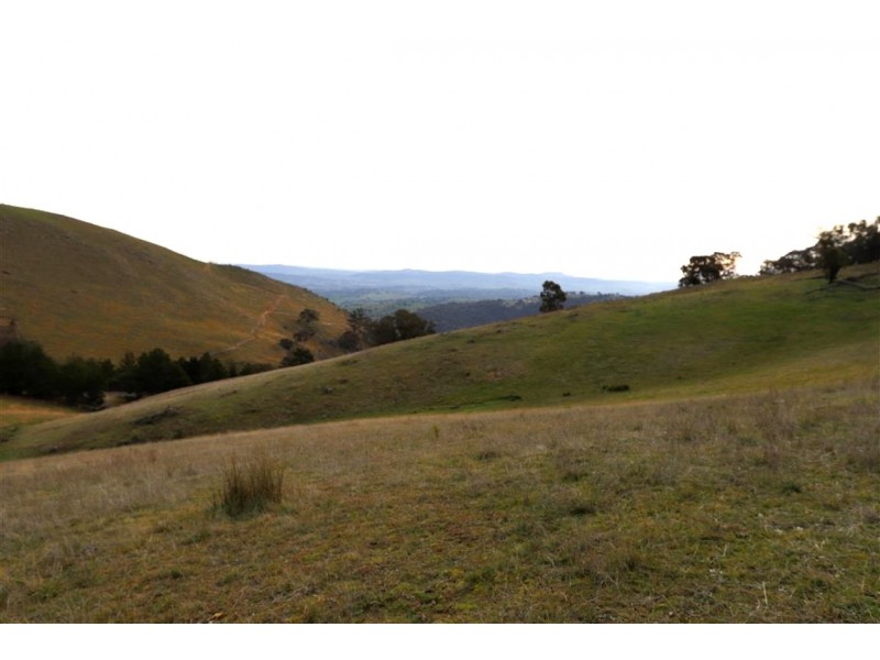 837 Argalong Road, Argalong NSW 2720