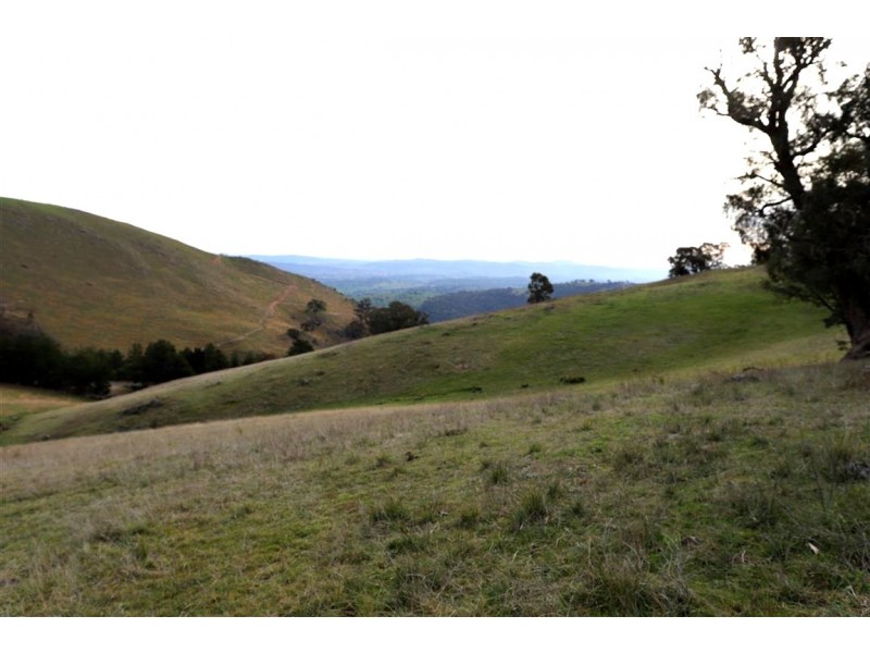 837 Argalong Road, Argalong NSW 2720