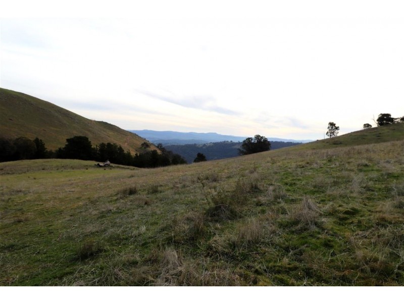 837 Argalong Road, Argalong NSW 2720