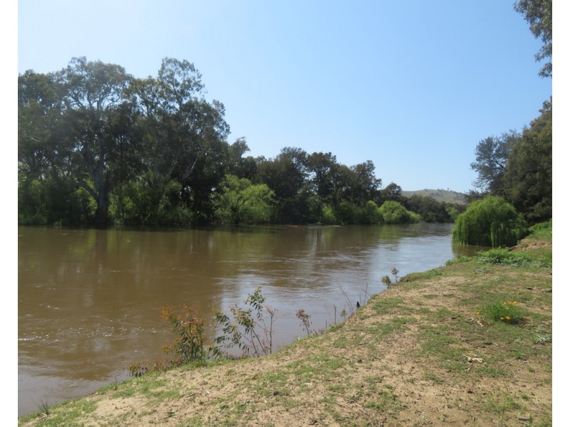 89 Brungle Road, Gundagai NSW 2722