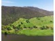 43 Miles Franklin Drive, Talbingo NSW 2720