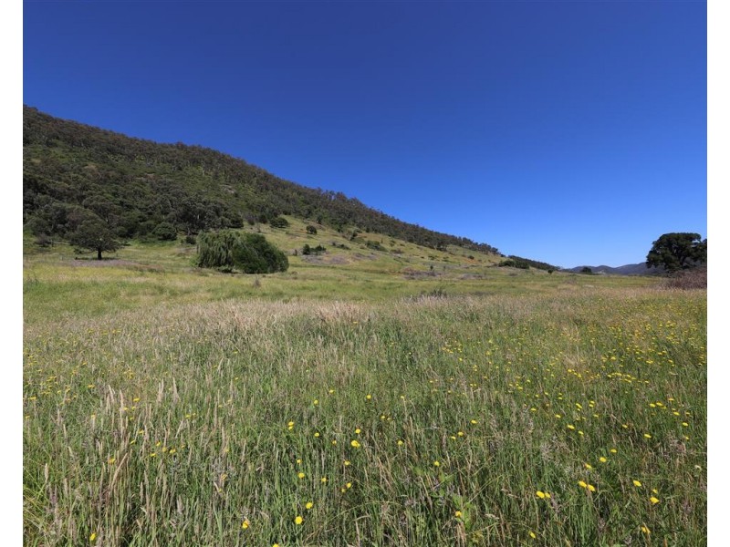 Lot 51 Goobarragandra Road, Tumut NSW 2720
