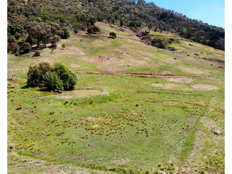 Lot 51 Goobarragandra Road, Tumut NSW 2720