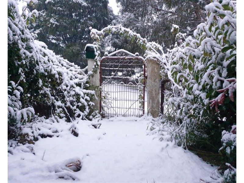 38 Bartlett Street, Batlow NSW 2730