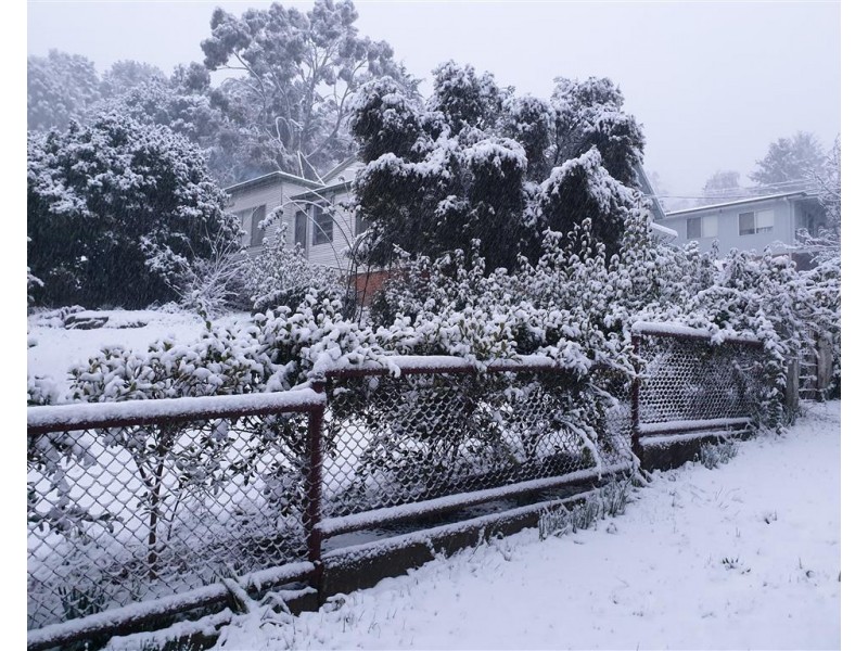 38 Bartlett Street, Batlow NSW 2730