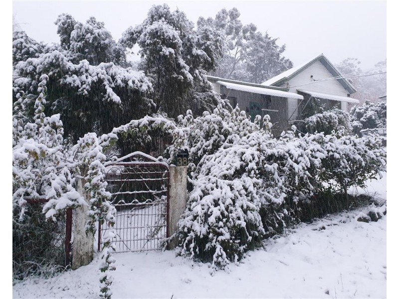 38 Bartlett Street, Batlow NSW 2730