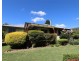 1 Banksia Avenue, Batlow NSW 2730