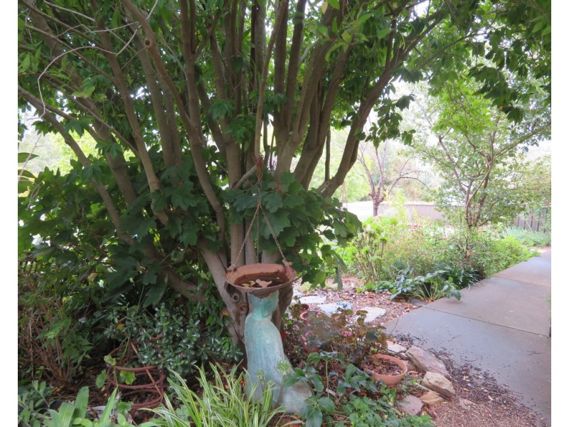 4 Judy Street, Gundagai NSW 2722