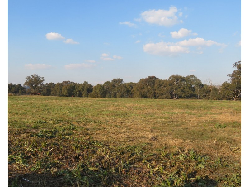 12 Camp Street, Gundagai NSW 2722