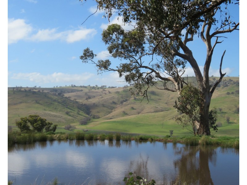 158 Reno Road, Gundagai NSW 2722