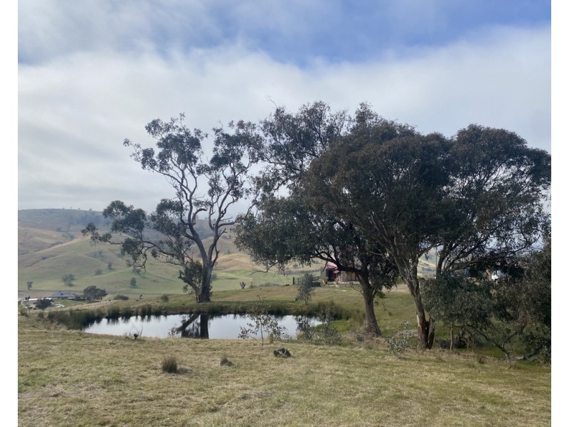 158 Reno Road, Gundagai NSW 2722