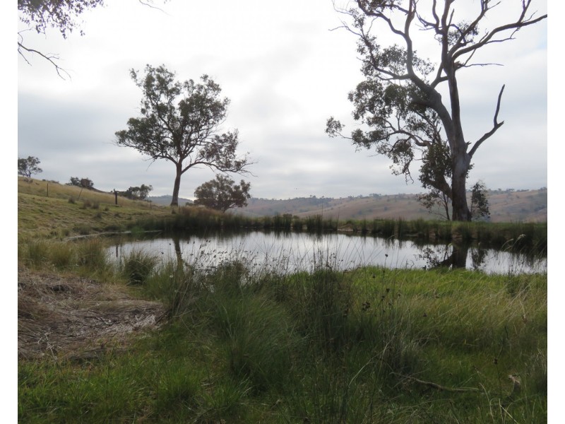 158 Reno Road, Gundagai NSW 2722