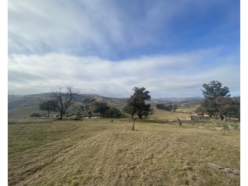 158 Reno Road, Gundagai NSW 2722