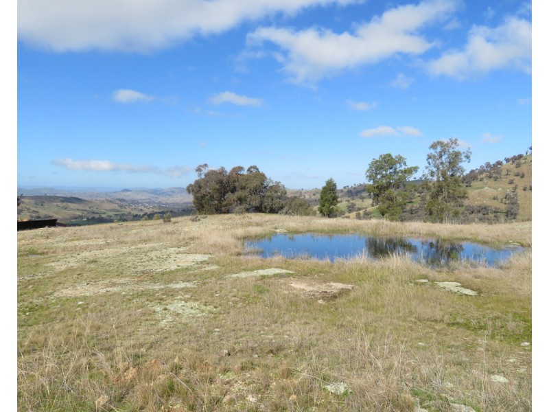 158 Reno Road, Gundagai NSW 2722