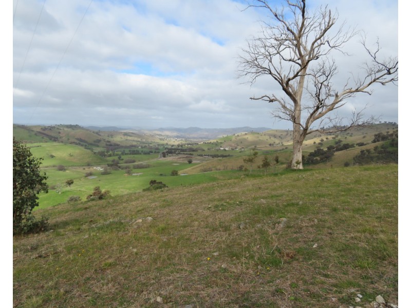 158 Reno Road, Gundagai NSW 2722