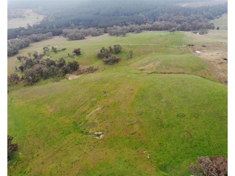 2160 Wee Jasper Road, Tumut NSW 2720