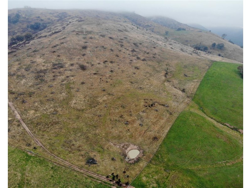 2160 Wee Jasper Road, Tumut NSW 2720