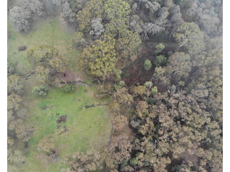 2160 Wee Jasper Road, Tumut NSW 2720