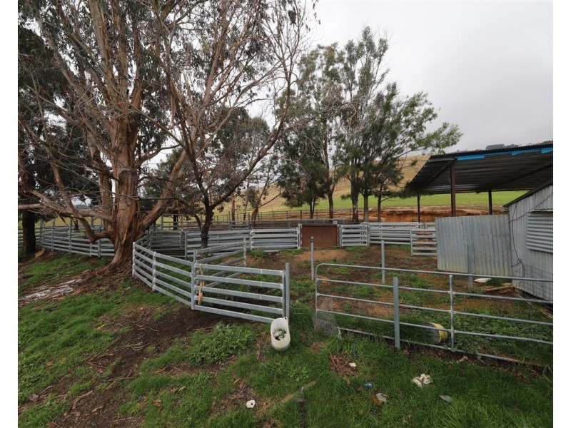 2160 Wee Jasper Road, Tumut NSW 2720