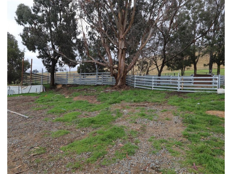 2160 Wee Jasper Road, Tumut NSW 2720