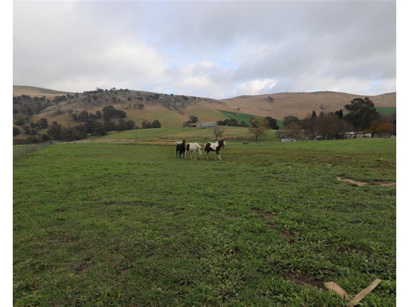 2160 Wee Jasper Road, Tumut NSW 2720