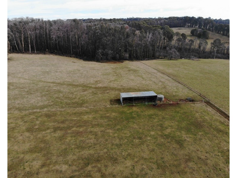 224 Back Kunama Road, Batlow NSW 2730