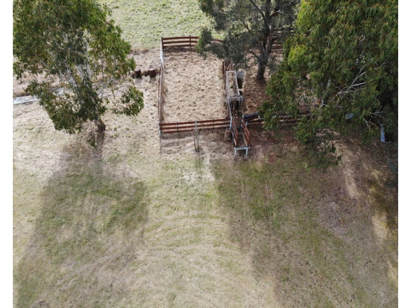 224 Back Kunama Road, Batlow NSW 2730