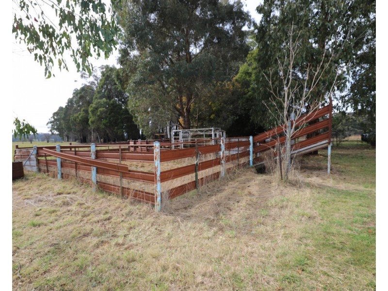 224 Back Kunama Road, Batlow NSW 2730