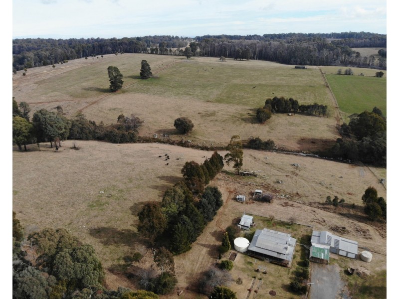 224 Back Kunama Road, Batlow NSW 2730