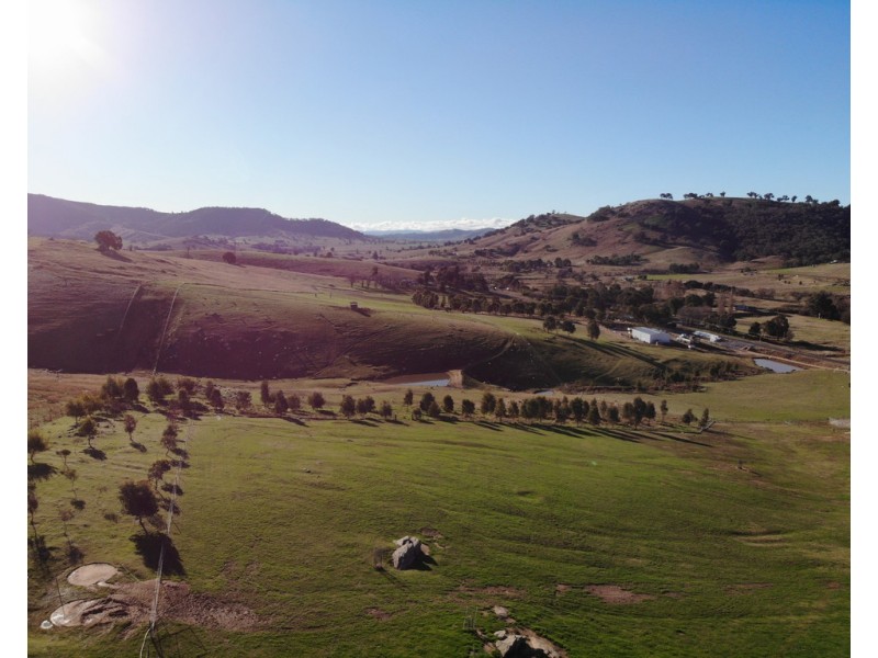 429 Grahamstown Road, Adelong NSW 2729