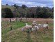 404 Goobarragandra Road, Tumut NSW 2720