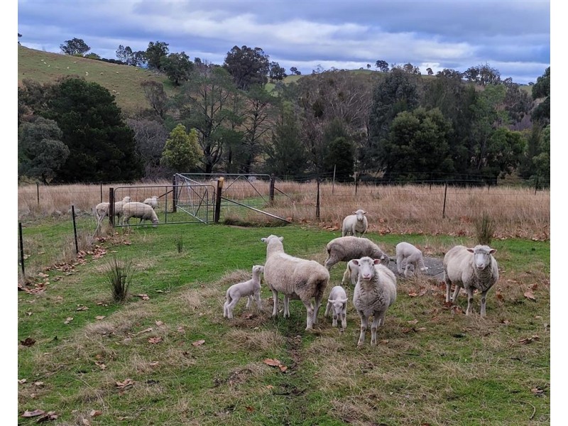 404 Goobarragandra Road, Tumut NSW 2720
